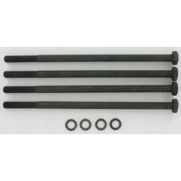 Tvirtinimo varžtai Polaris 20 m10x230 mm 4 vnt