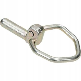 Dantų kaištis amazon