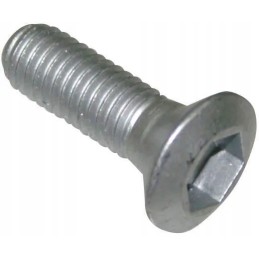 Varžtas plokščia galvute, M8x25