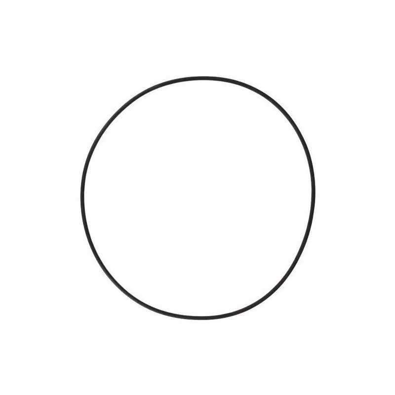 Sandarinimo žiedas 330x6 mm