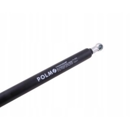 Galinio lango pavara l max 600mm Renault Polmo