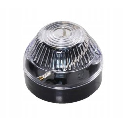 Platus kolegos radiatorius