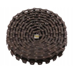 Seno tipo išleidimo grandinės taikymas Anna Warynsk