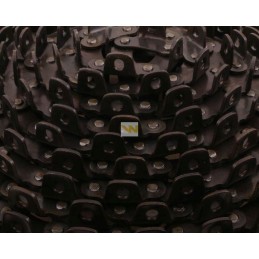 Seno tipo išleidimo grandinės taikymas Anna Warynsk