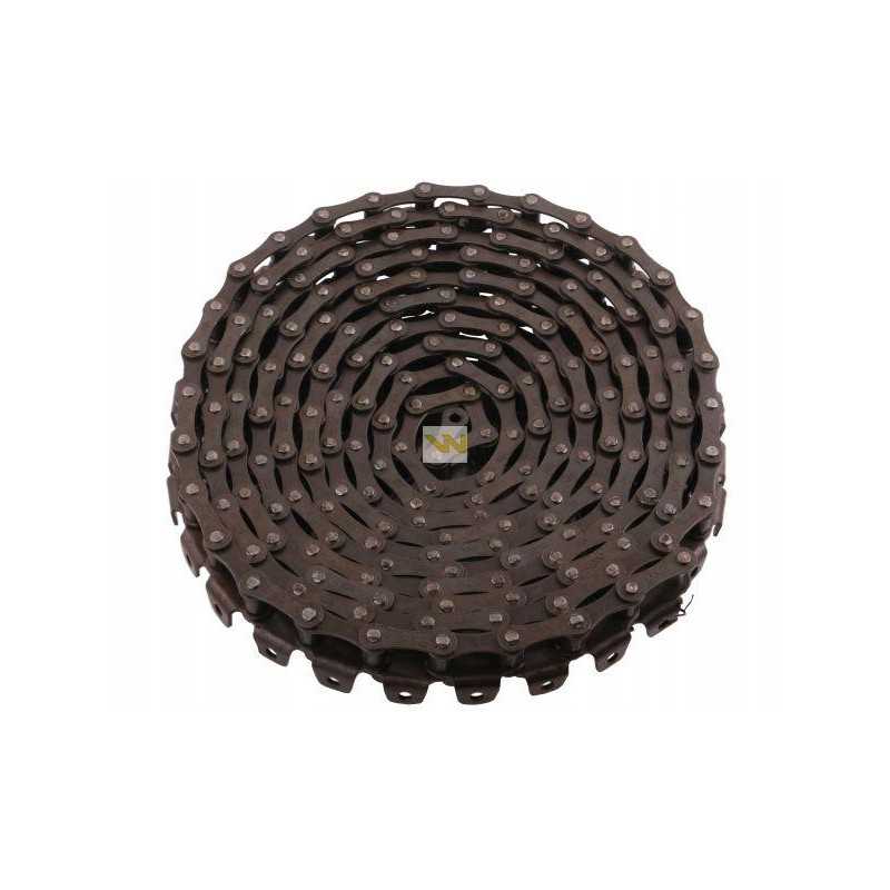 Seno tipo išleidimo grandinės taikymas Anna Warynsk