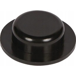 Plastikinė kamštiena