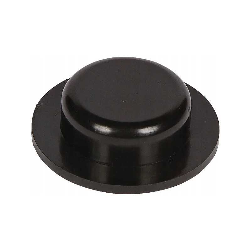 Plastikinė kamštiena