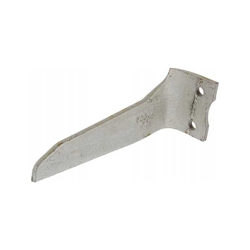 Dešinysis dantis hk10