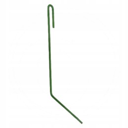 Dešinysis sėjamosios noragas II Amazon