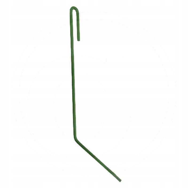 Dešinysis sėjamosios noragas II Amazon