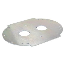 Apsauginė plokštelė