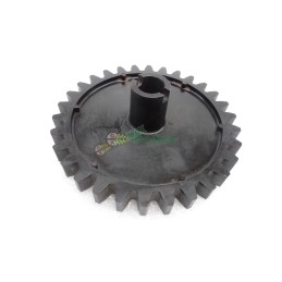 Fiona sėjamosios žvaigždutė 3120022