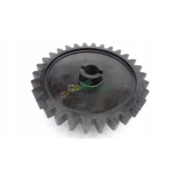 Fiona sėjamosios žvaigždutė 3120022