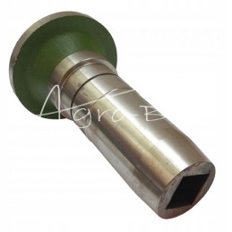 Diskinių akėčių krūmas Lenkija