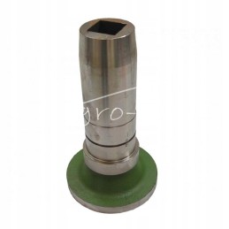 Diskinių akėčių krūmas Lenkija