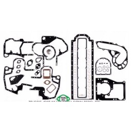 Variklio tarpiklių komplektas dol case 6 cyl d310 d358