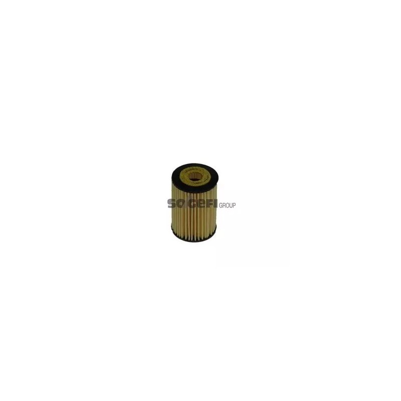 L300 „Purflux“ alyvos filtras