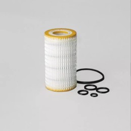 P550798 DONALDSON alyvos filtras, kasetė