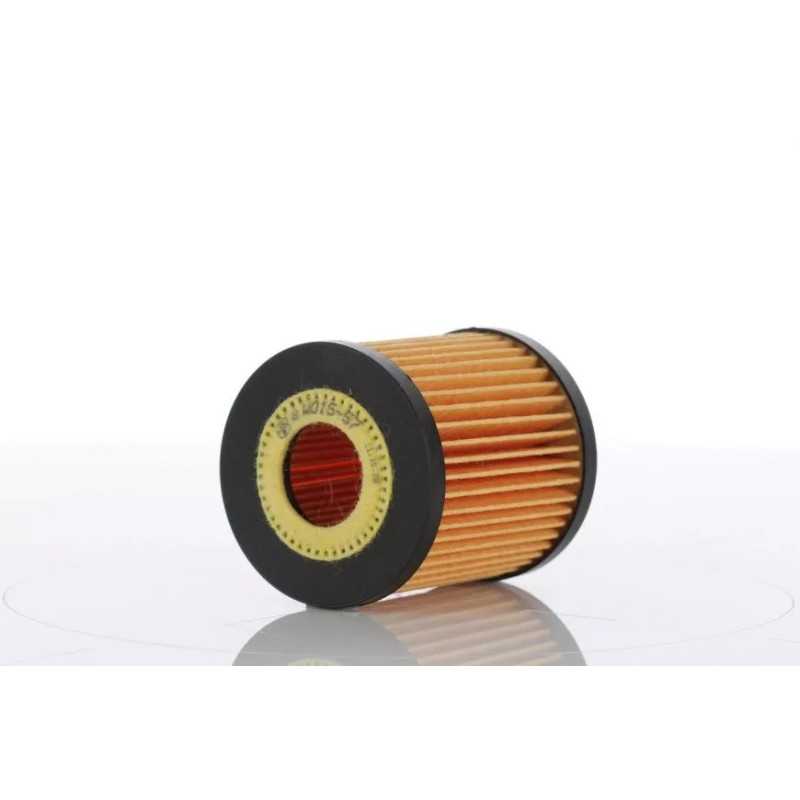 WO15-57X (WO1557X) PZL-SĘDZISZÓW ALYVOS FILTRO ELEMENTAS