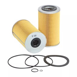 SO4258 SF filtro alyvos filtras