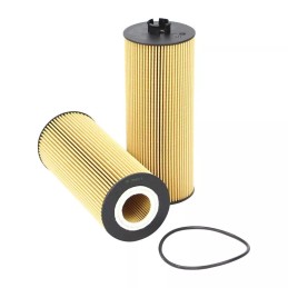 SO5242/1 SF filtro alyvos filtras