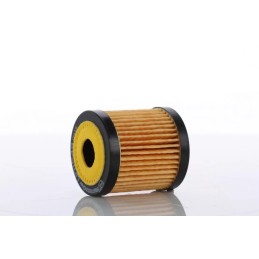 WO15-49X (WO1549X) PZL-SĘDZISZÓW ALYVOS FILTRO ELEMENTAS