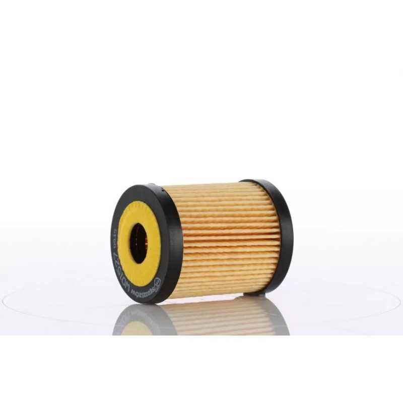 WO15-27X (WO1527X) PZL-SĘDZISZÓW ALYVOS FILTRO ELEMENTAS