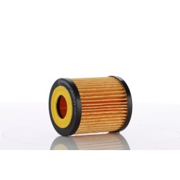 WO15-21X (WO1521X) PZL-SĘDZISZÓW ALYVOS FILTRO ELEMENTAS