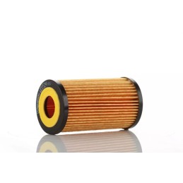 WO15-24X (WO1524X) PZL-SĘDZISZÓW ALYVOS FILTRO ELEMENTAS