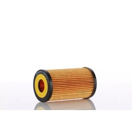 WO15-24X2 (WO1524X2) PZL-SĘDZISZÓW ALYVOS FILTRO ELEMENTAS