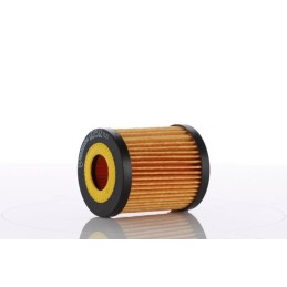 WO15-12X (WO1512X) PZL-SĘDZISZÓW ALYVOS FILTRO ELEMENTAS