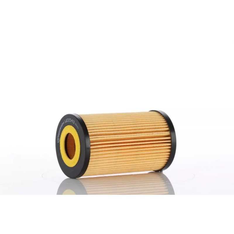 WO15-43X (WO1543X) PZL-SĘDZISZÓW ALYVOS FILTRO ELEMENTAS