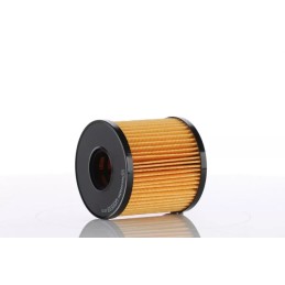 WO15-33X (WO1533X) PZL-SĘDZISZÓW ALYVOS FILTRO ELEMENTAS