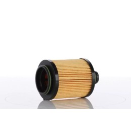 WO1559X PZL SĘDZISZÓW ALYVOS FILTRO ELEMENTAS