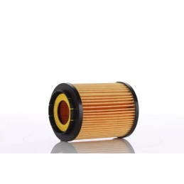 WO15-38X (WO1538X) PZL-SĘDZISZÓW ALYVOS FILTRO ELEMENTAS