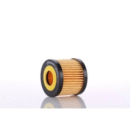 WO1513x PZL-Sędziszów alyvos filtras