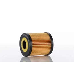 WO15-17X (WO1517X) PZL-SĘDZISZÓW ALYVOS FILTRO ELEMENTAS