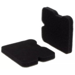 SA12421 HIFI oro filtras