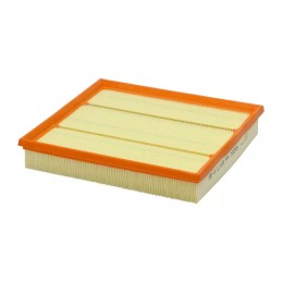 PA76255 SF filtro oro filtras