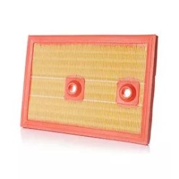 WA50261 PZL SĘDZISZÓW Oro filtras