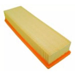 SL1667 SF filtro oro filtras