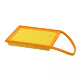 PA76261 SF filtro oro filtras