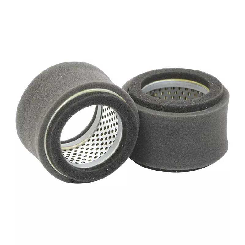 SL1783 SF filtro oro filtras