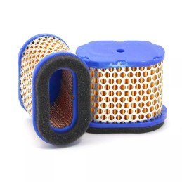 SL1454/1 SF filtro oro filtras