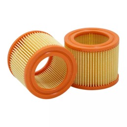 SL81189 SF filtro oro filtras