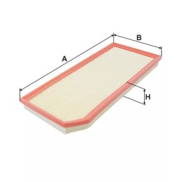 AP 005/2 Filtron oro filtras