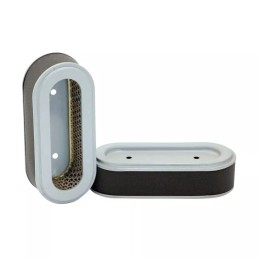 SL1877 SF filtro oro filtras