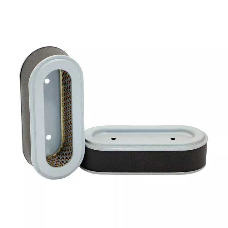 SL1877 SF filtro oro filtras