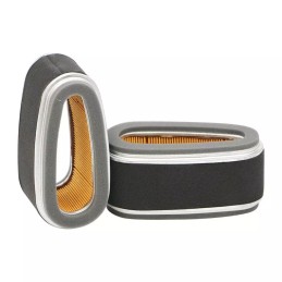 SL1757 SF filtro oro filtras