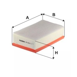 AP 133/8 FILTRON oro filtras